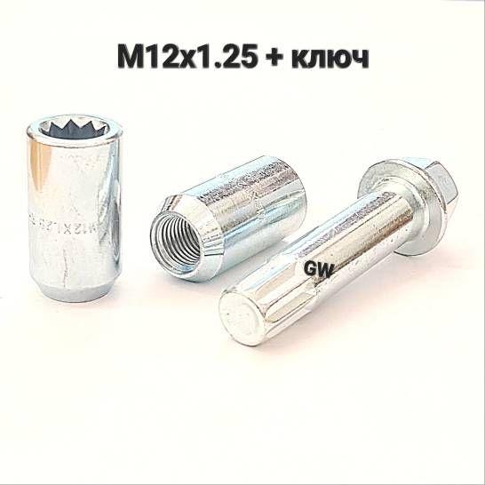 Колесные гайки М12х1.25 для Nissan, Infiniti, Subaru, Suzuki (24шт.+ключ)